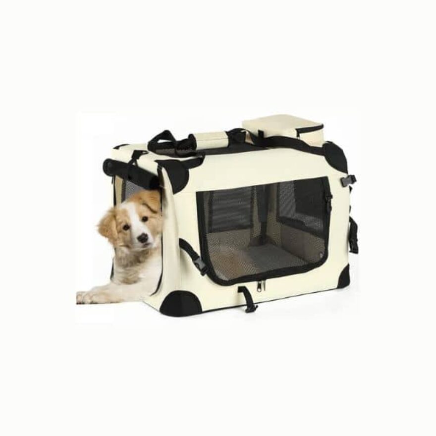 Best Dog Crates For Yorkies Kennel Types, Sizes & More Canine Journal