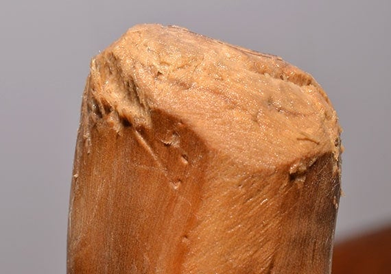 edge of ware gorills chew that has been chewed on and turned to mush