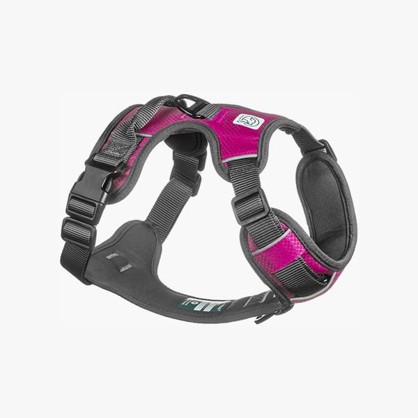 Embark Adventure Dog Harness