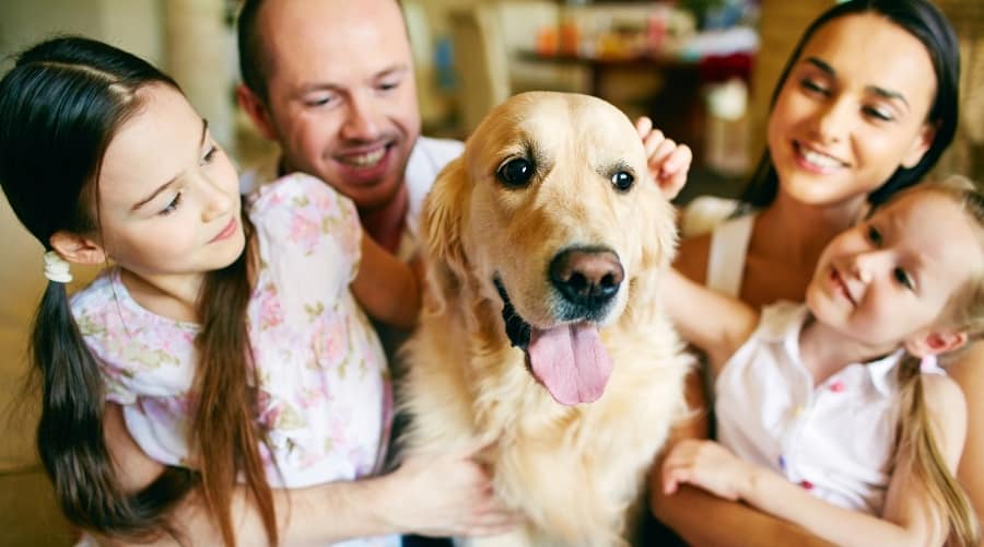 Family petting a Golden Retriever.