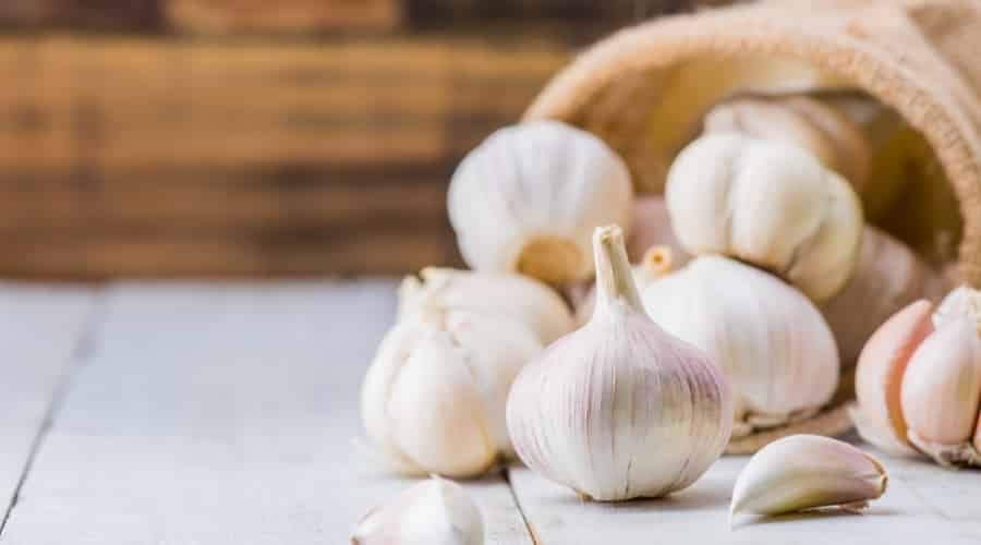 Bulbs of garlic on a counter.