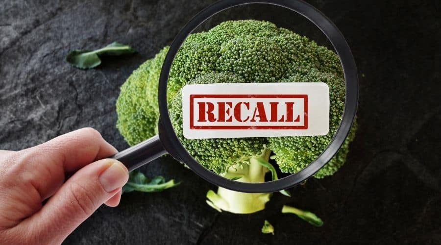 Food recall and head of broccoli