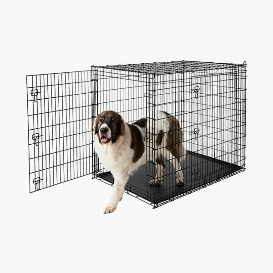 Best Dog Crates For Giant XXL Breeds (Mastiffs, Danes & More) Canine