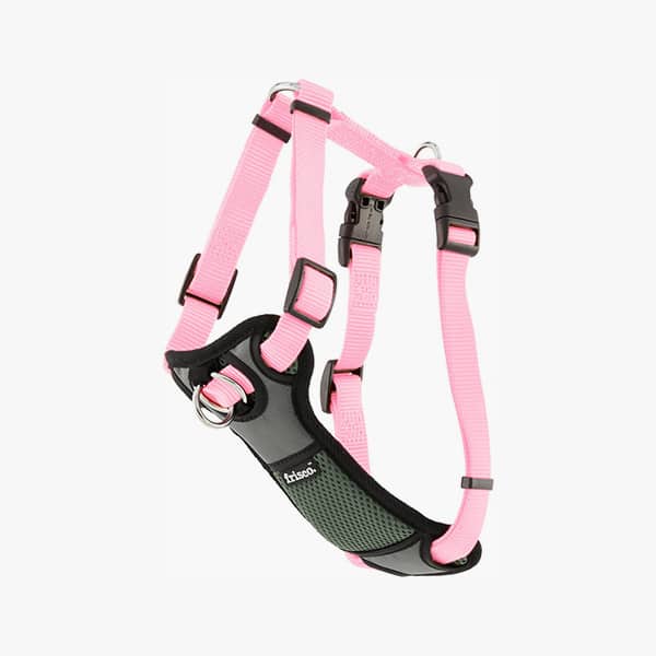 Frisco Padded harness large.