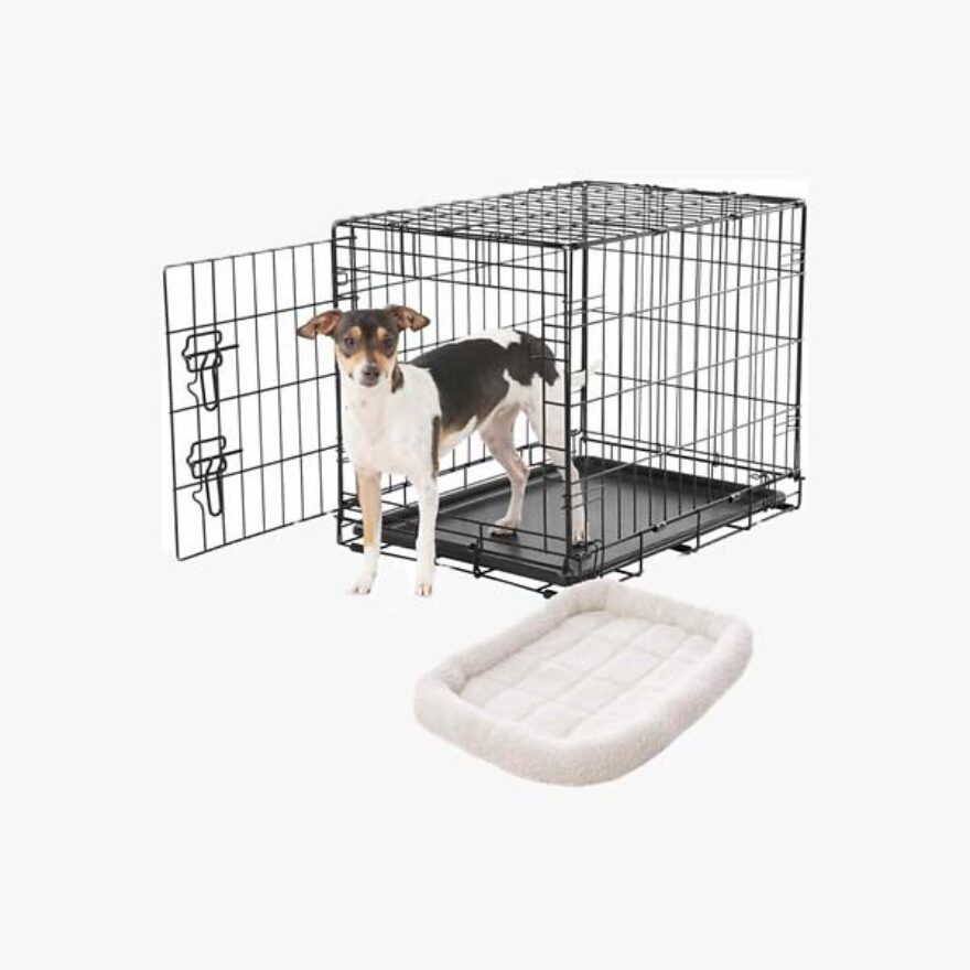 Best Dog Crates for Boston Terriers Kennel Types & Sizes Canine Journal