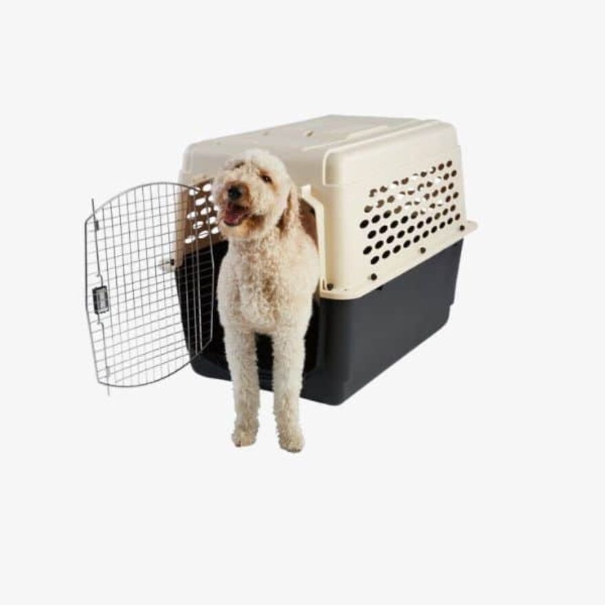 Best Dog Crates For Boxers Kennel Types, Sizes & More Canine Journal