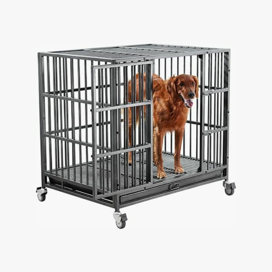 Best Dog Crates For Siberian Huskies Kennel Types, Sizes & More Canine Journal
