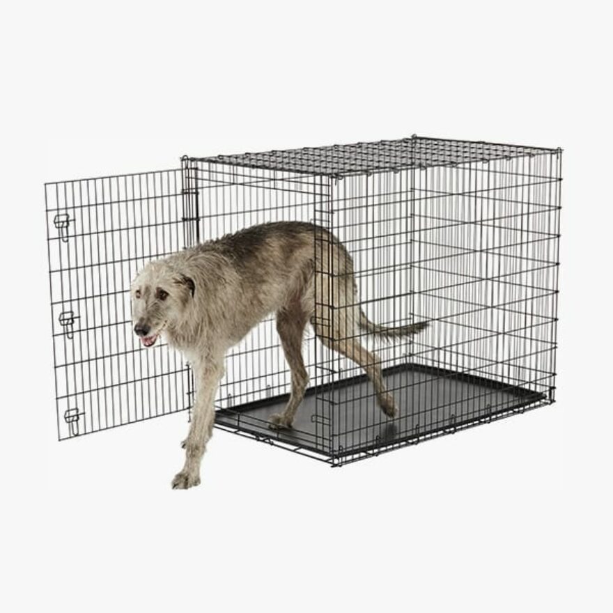 Best Dog Crates For Giant XXL Breeds (Mastiffs, Danes & More) Canine