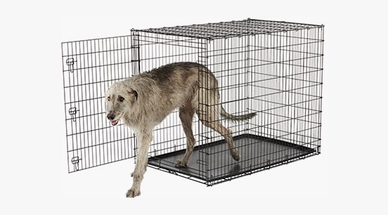 View of Best Dog Crates For Giant XXL Breeds (Mastiffs, Danes & More) | Canine ...