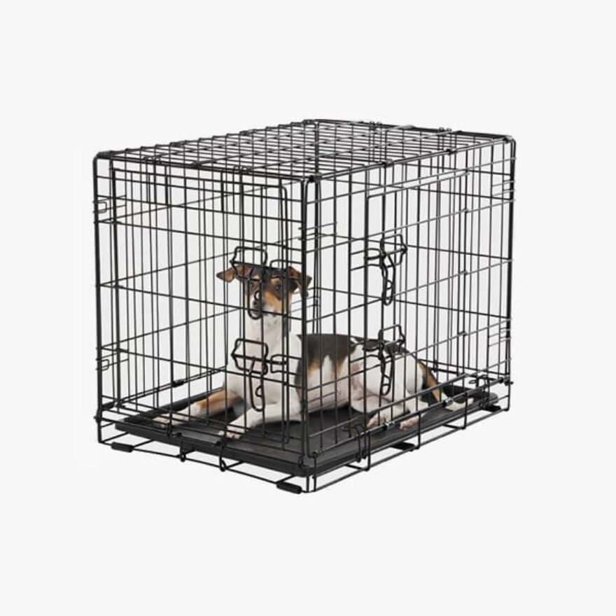 Best Dog Crates For Beagles Ratings, Reviews & Sizes Canine Journal