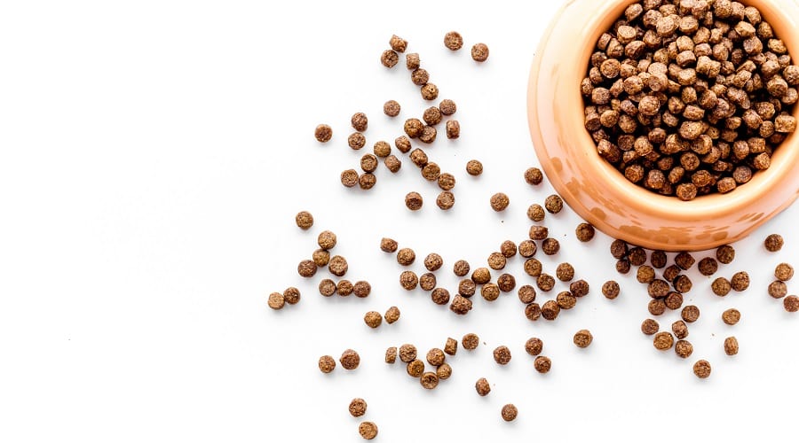 Fromm Dog Food in Bowl