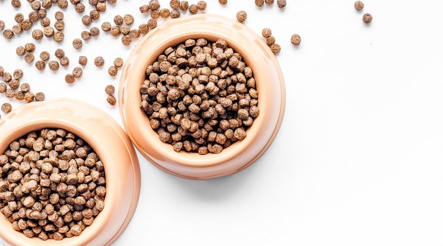 Fromm Dog Food in Bowls