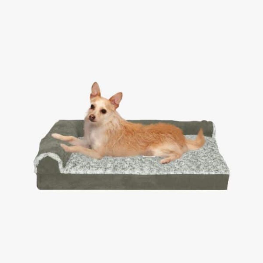 Best Dog Beds For Yorkies Couch, Mattress, Elevated & More Canine