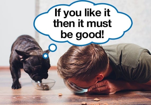 Fussy French Bulldog eating his food because he is imitating his owner eating out of a bowl with speech bubble that says