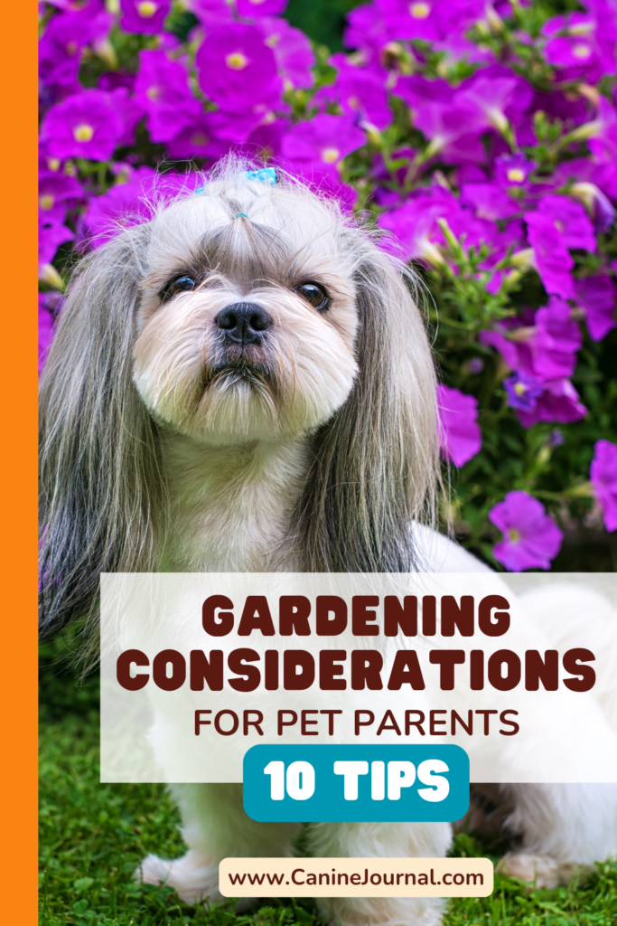 Gardening Considerations for pet parents.