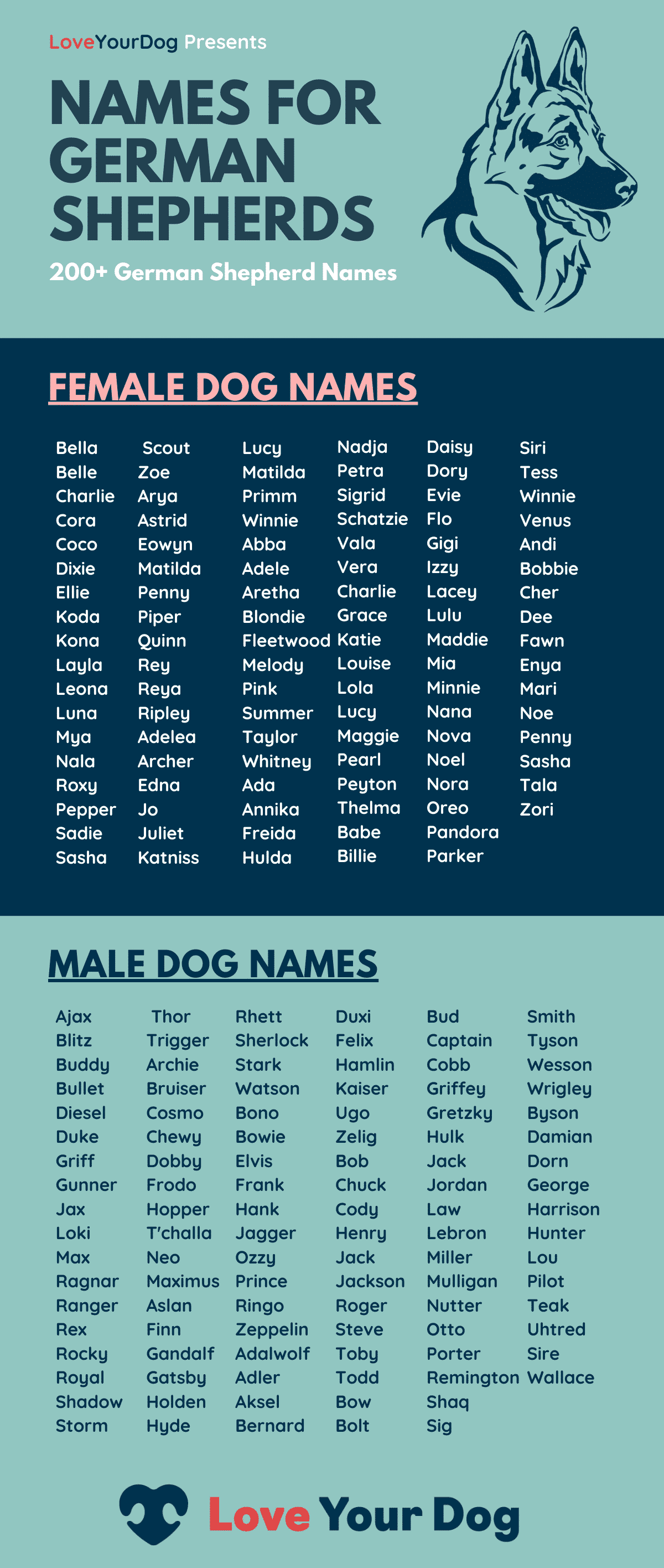 German Shepherd Dog Names