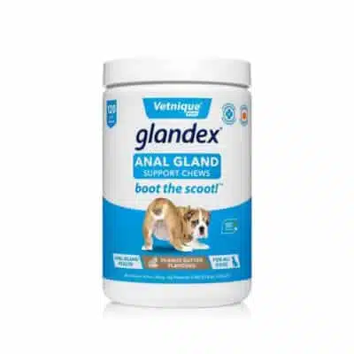 Glandex Anal Gland Soft Chew Treats With Pumpkin