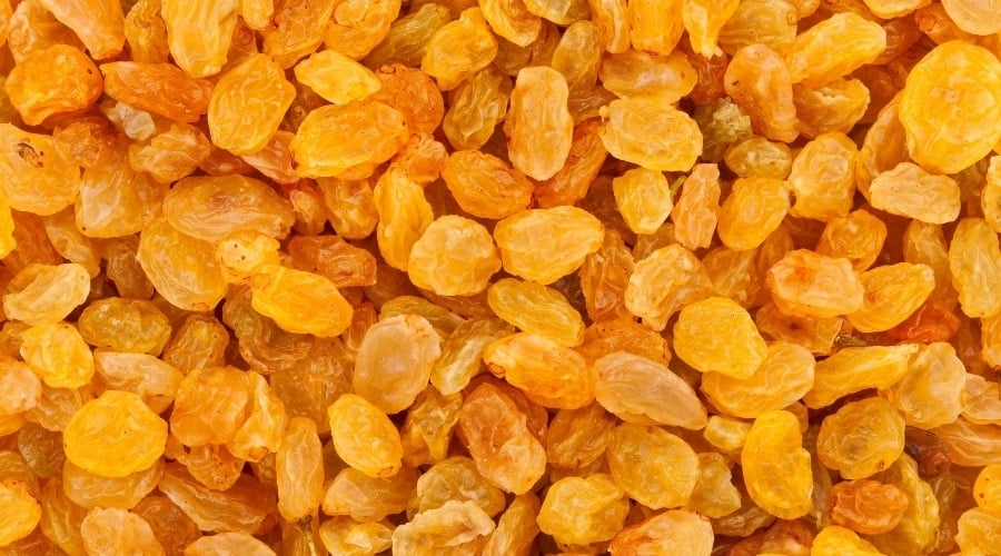 Golden Dried Grapes
