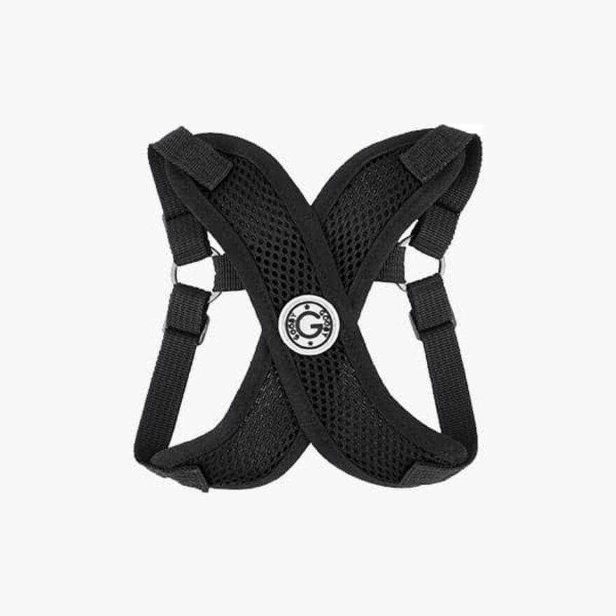 Best harnesses for corgis ratings reviews top picks canine journal