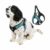Best Escape-Proof Dog Harnesses (For Houdini Hounds) - Canine Journal