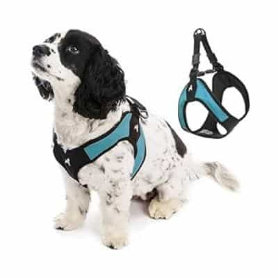 Gooby Escape Free Harness