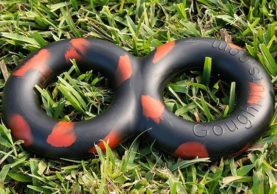 Goughnuts MaXX sitting in grass best tug toy for large dogs and agressive chewers