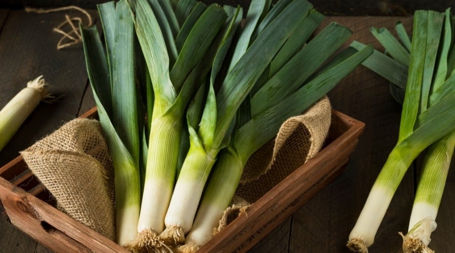Green Stalk Vegetables