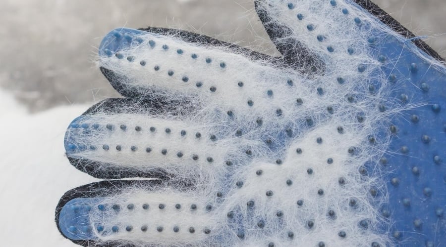 Grooming Glove used on a Husky