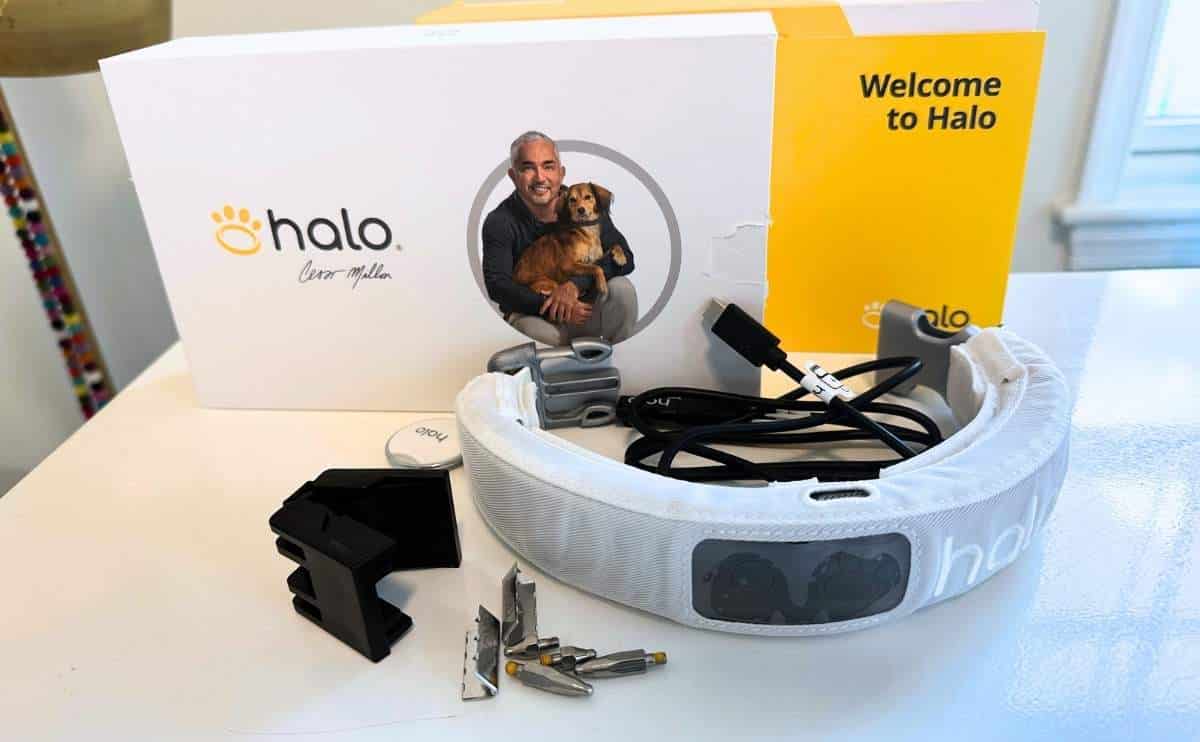 Halo Collar 3 box and contents