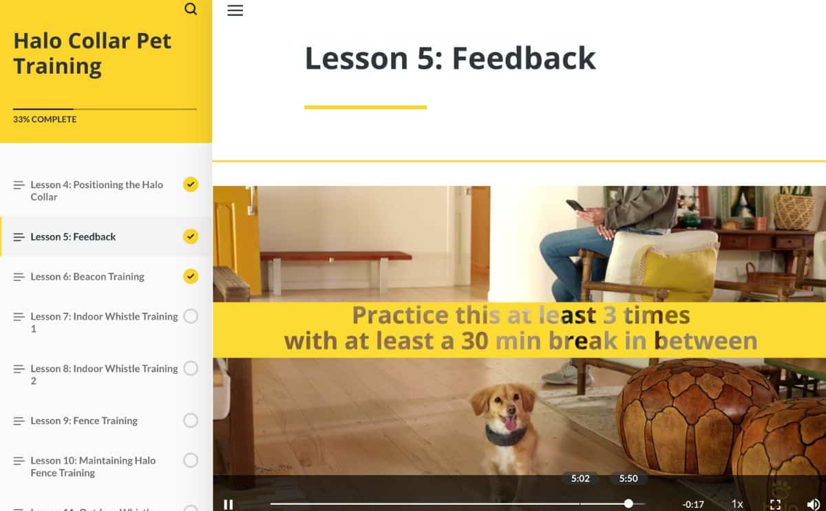 Halo Collar video lesson screenshot