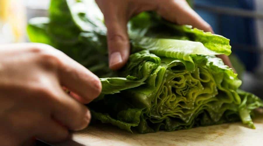 Hand closeup chopping lettuce