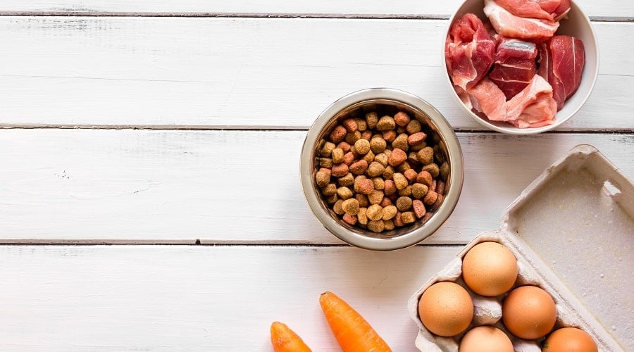 Healthy Dog Food Ingredients