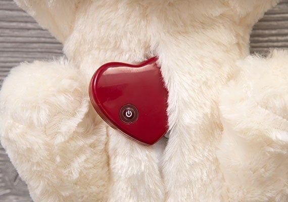 Heartbeat sliding inside Smart Pet Love Snuggle Puppy Plush Toy for puppies