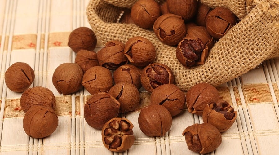 Hickory Nuts