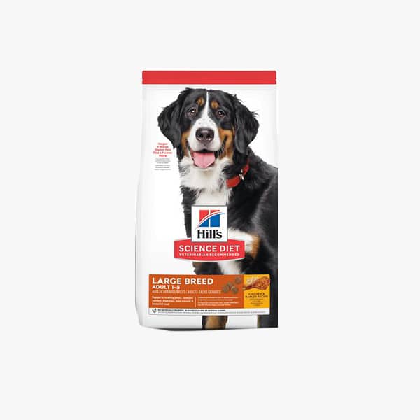Hill's Science Diet large breed