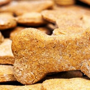Homemade dog biscuits closeup.