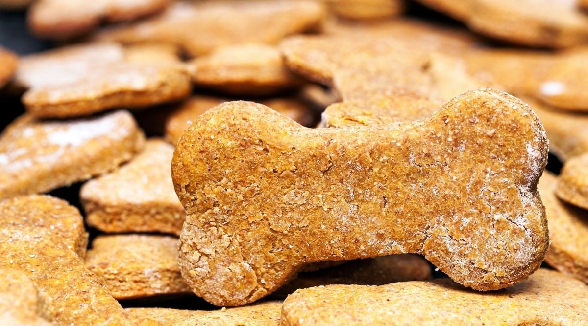 Homemade dog biscuits closeup