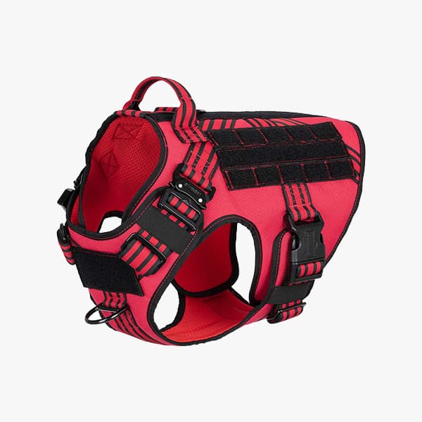 Best Harnesses For Australian Shepherds Ratings, Reviews, Top Picks