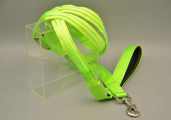 Ilumiseen LED Dog Leash during daytime