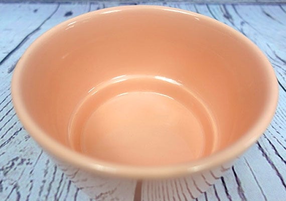 Inside the bottom of the Waggo Gloss ceramic dog bowl