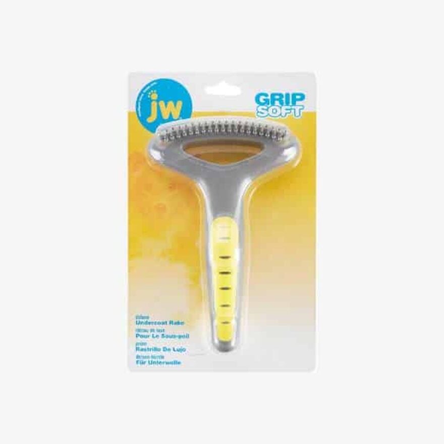 7 Amazing Dog Breeds With Short And Manageable Fur