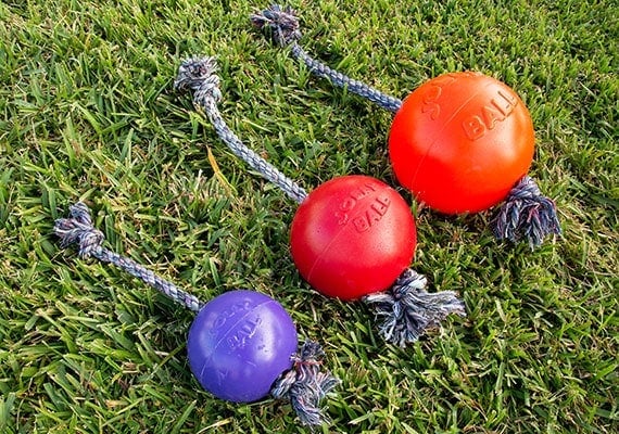 Jolly Pets romp-n-roll three sizes compared side by side