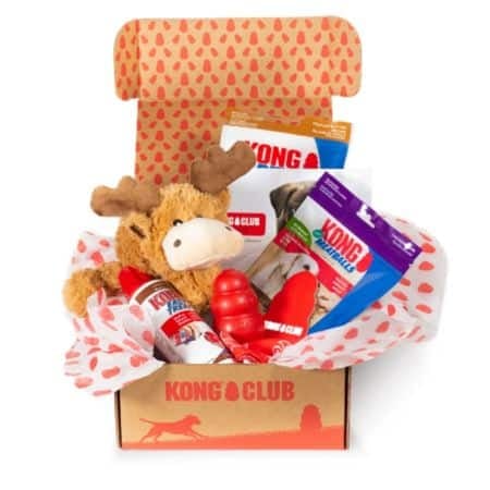KONG box