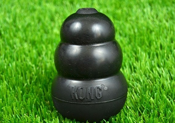 Kong Extreme Black Rubber Chew Toy sitting on grass