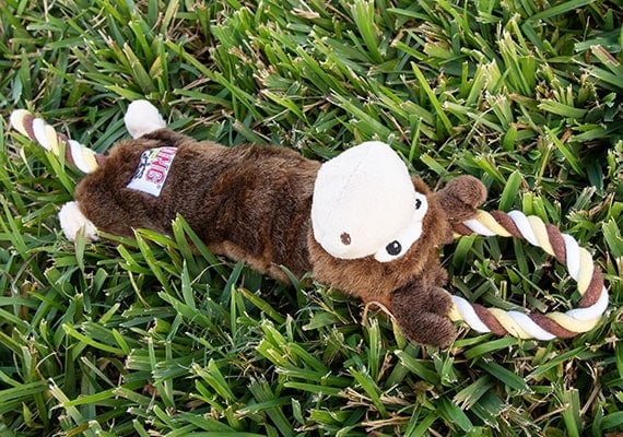 Kong Tugger Knots moose dog toy laying on grass