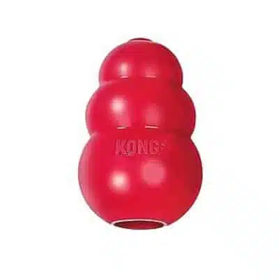 Product Review: Kong Genius, Kong Wobbler