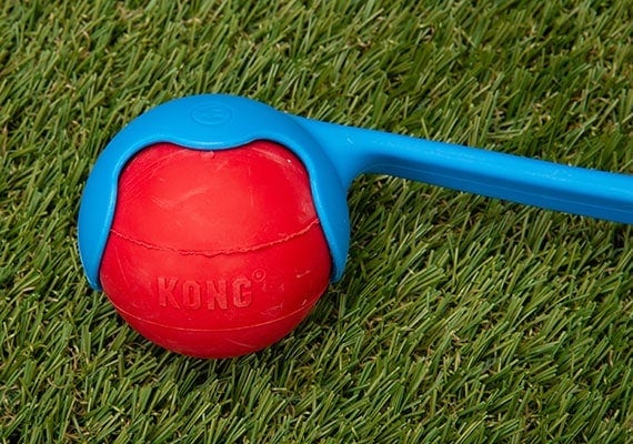 Kong rubber ball sitting in ball thrower scoop