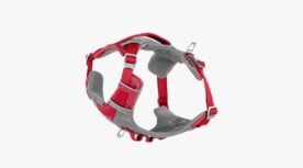 Kurgo Air Harness