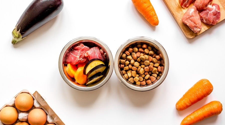 Large Breed Puppy Food Ingredients