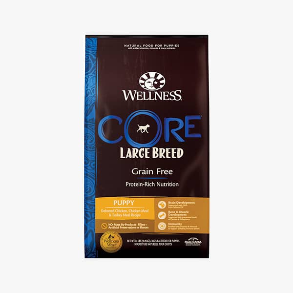 Wellness Core Large Breed Puppy Food